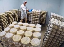 Женские журналы прошлого Женские журналы прошлого
